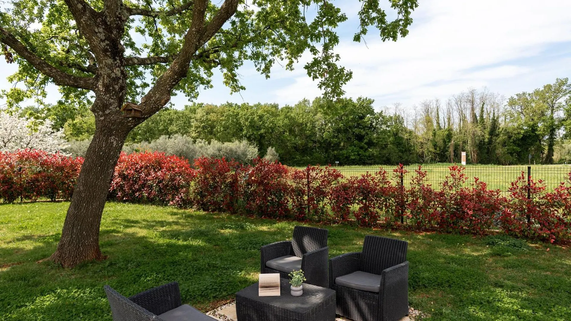 Villa Arancin Brtonigla Croatia